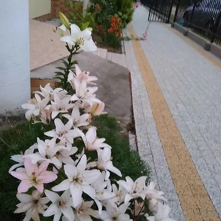 Nadima